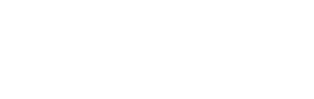 Optivio Consulting